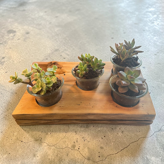 Oak Candle/Succulent Holder