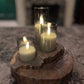 Black Walnut Candle/Succulent Holder