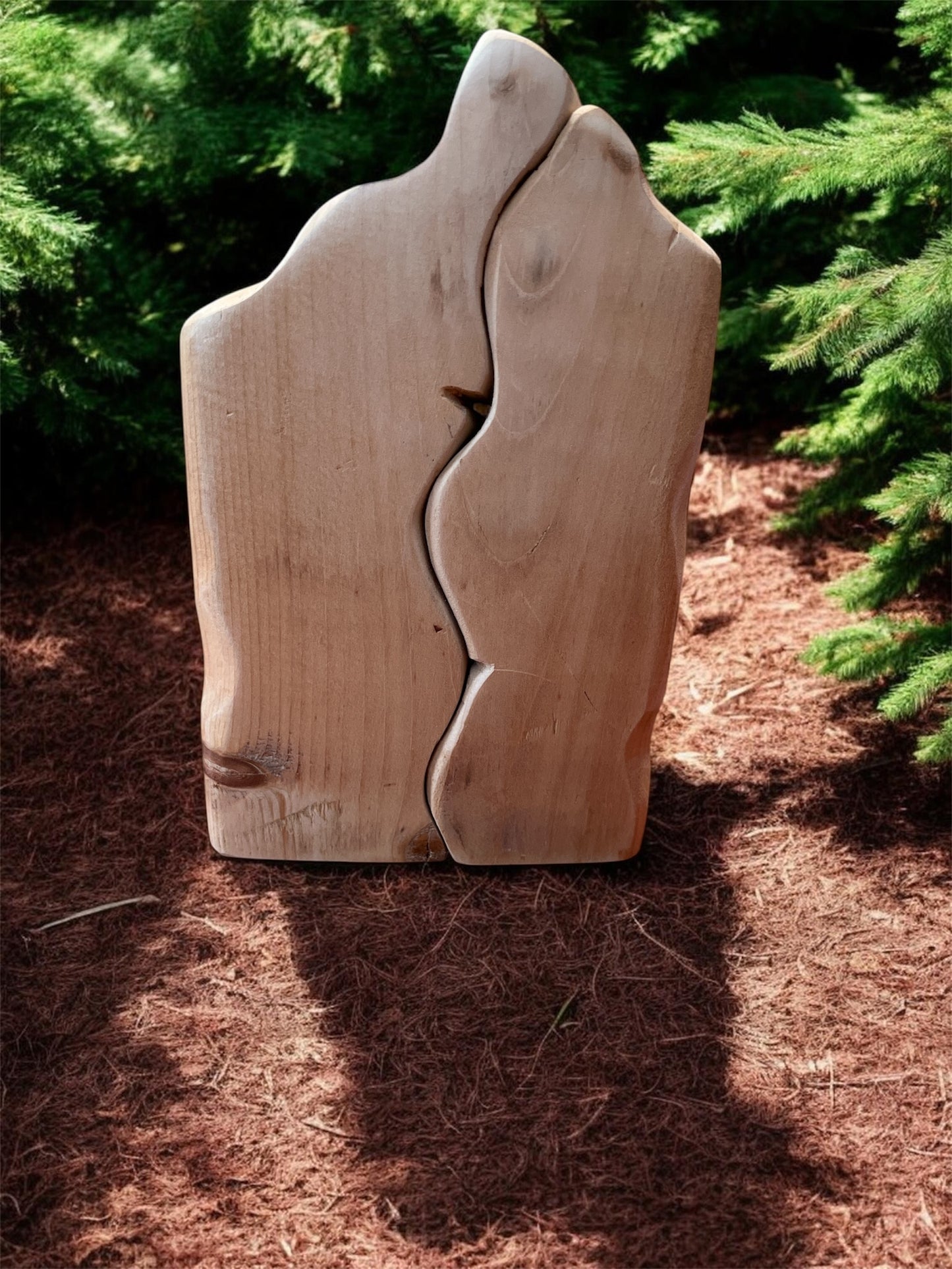 Unfinished Handmade Wooden Fairy Door