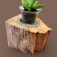 Spalted Maple Wooden Candle Holder/Succulent Planter