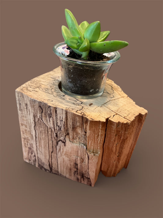Spalted Maple Wooden Candle Holder/Succulent Planter