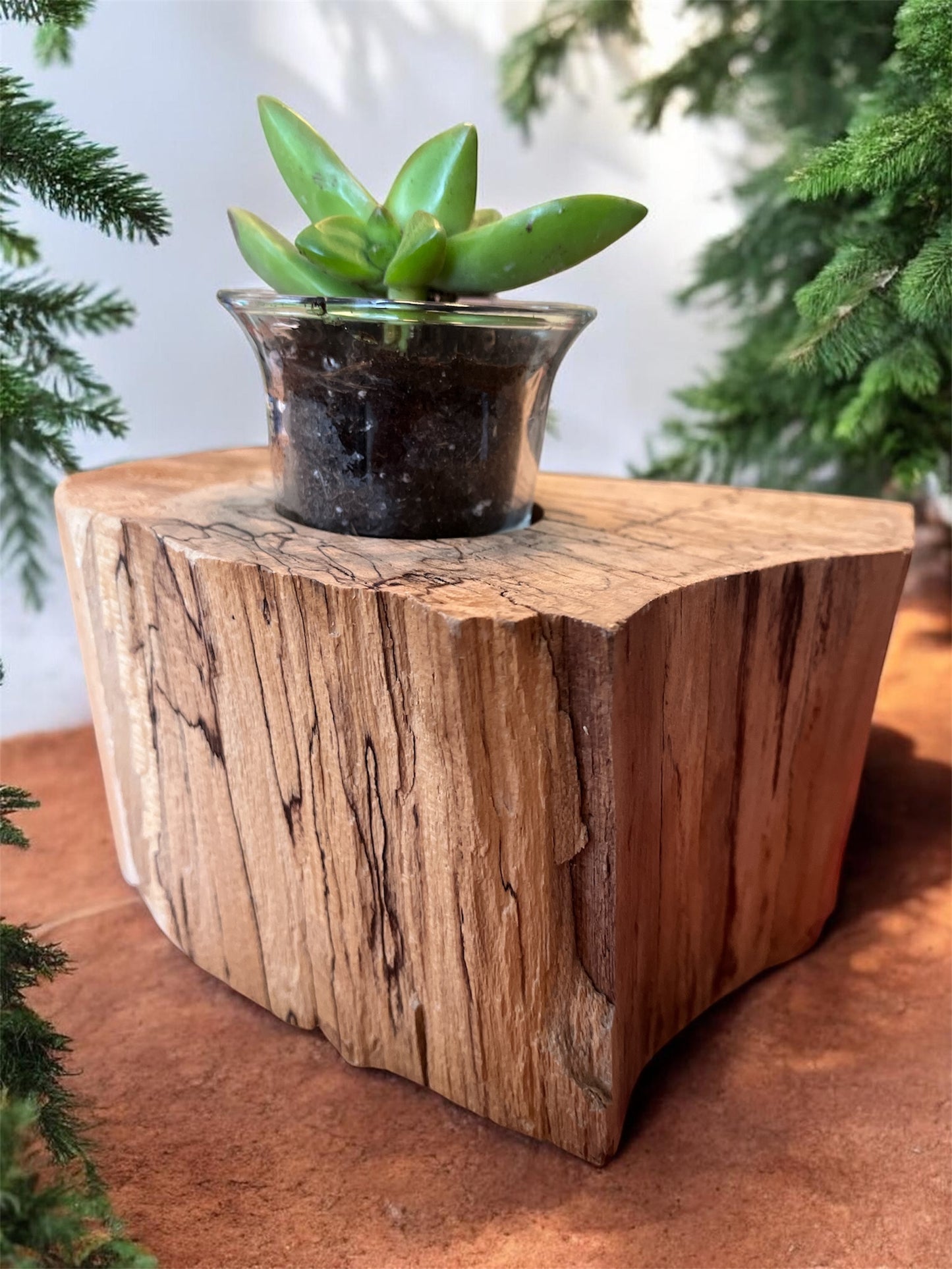 Spalted Maple Wooden Candle/Succulent Holder