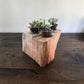 Oak Candle And Succulent Holder
